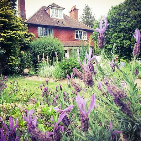 Rosemead Guest House Claygate Buitenkant foto