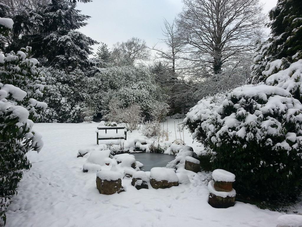 Rosemead Guest House Claygate Buitenkant foto