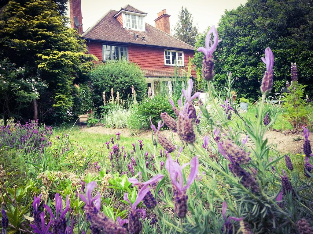 Rosemead Guest House Claygate Buitenkant foto